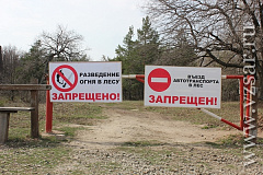 Разведение костров и использование открытого огня в мангалах вне специально обустроенных площадок на природных и озелененных территориях запрещено законом!